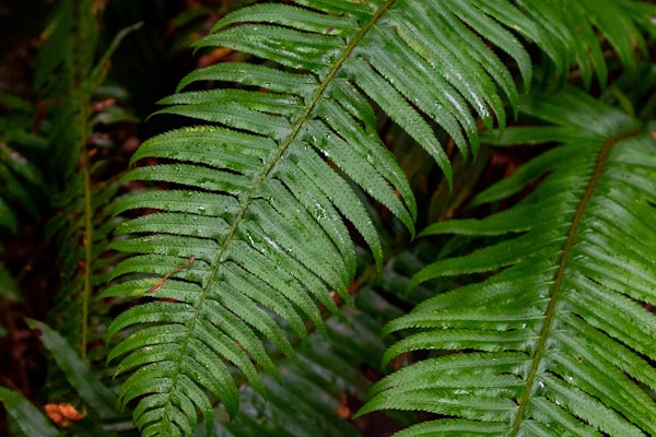 Blueprint planning and construction analytics